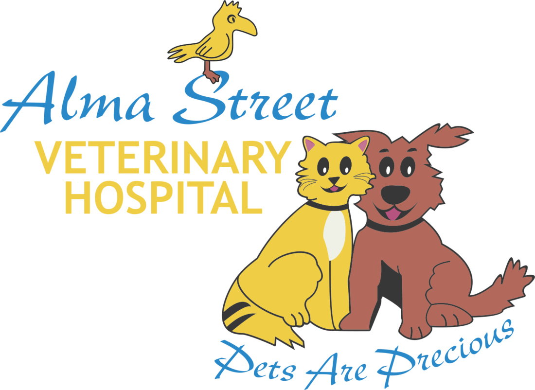 Alma Street Veterinary Hospital